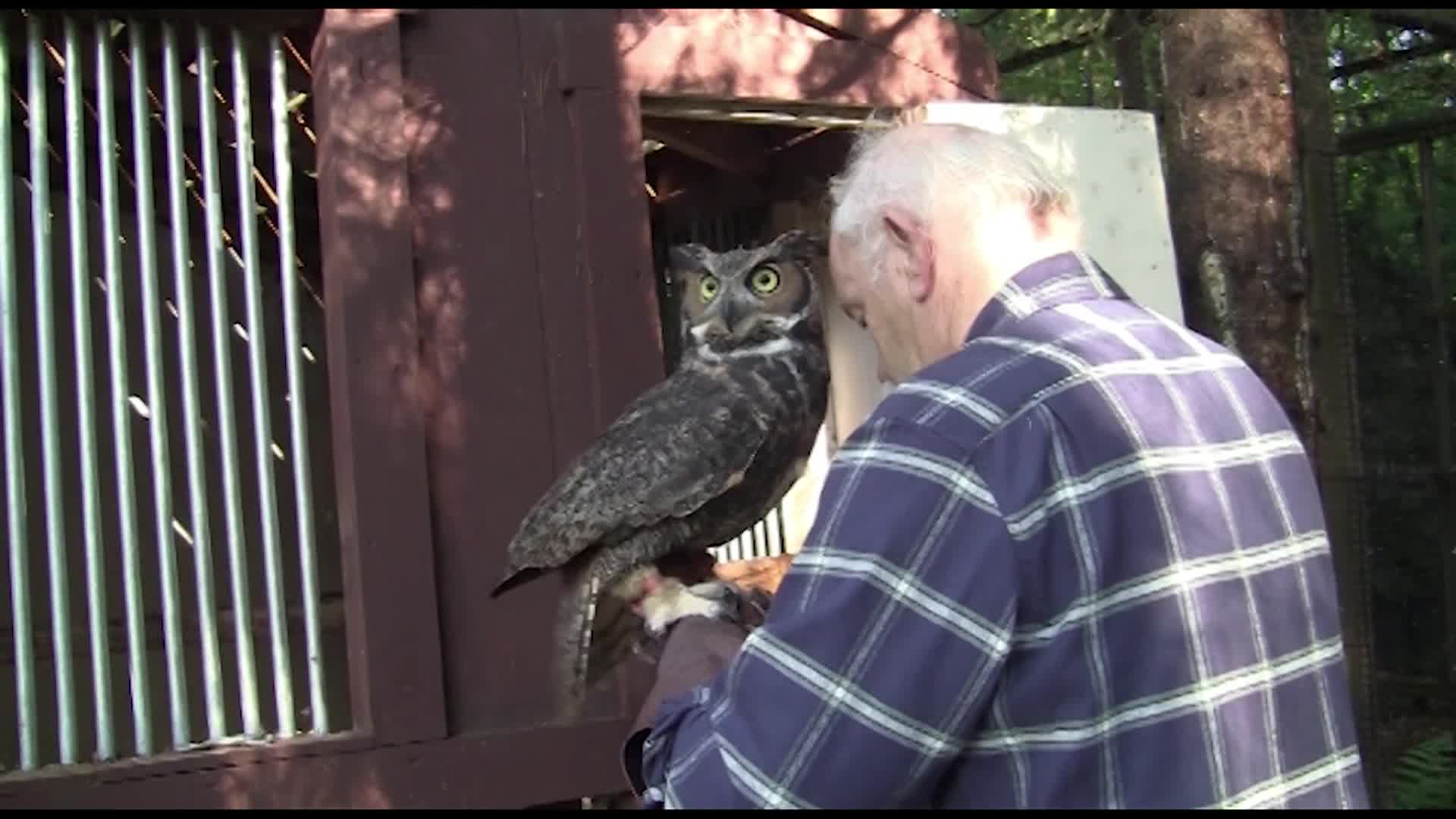 Animal Adventures Birds Of Prey Pt2