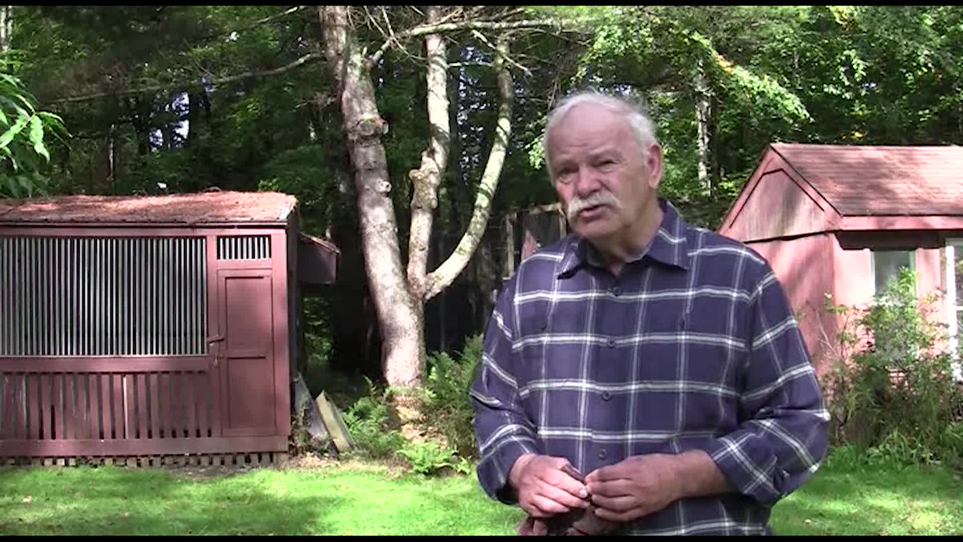 Animal Adventures Birds Of Prey Part 1