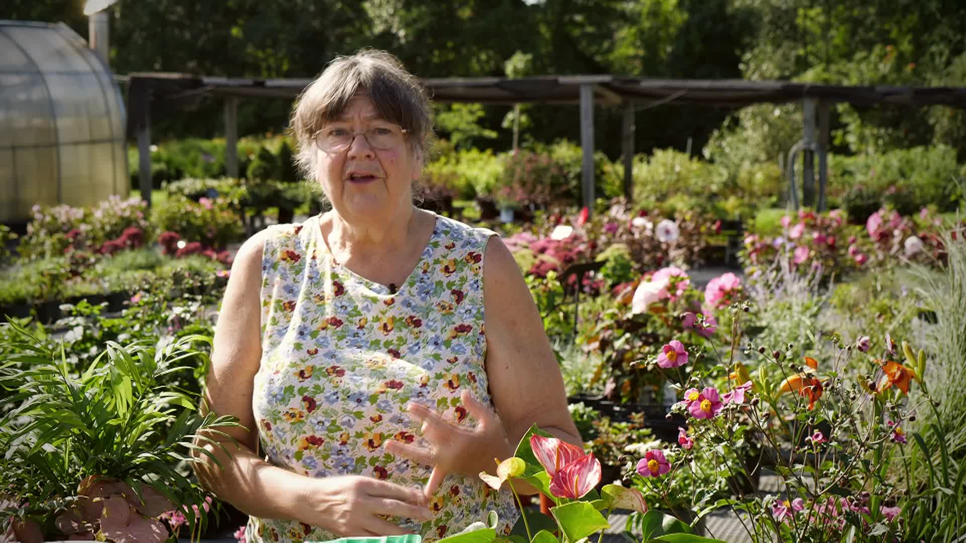 Ready Set Grow S01 EP05