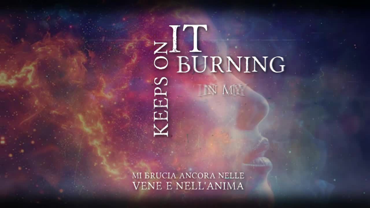 Bongo Boy TV A New Horizon