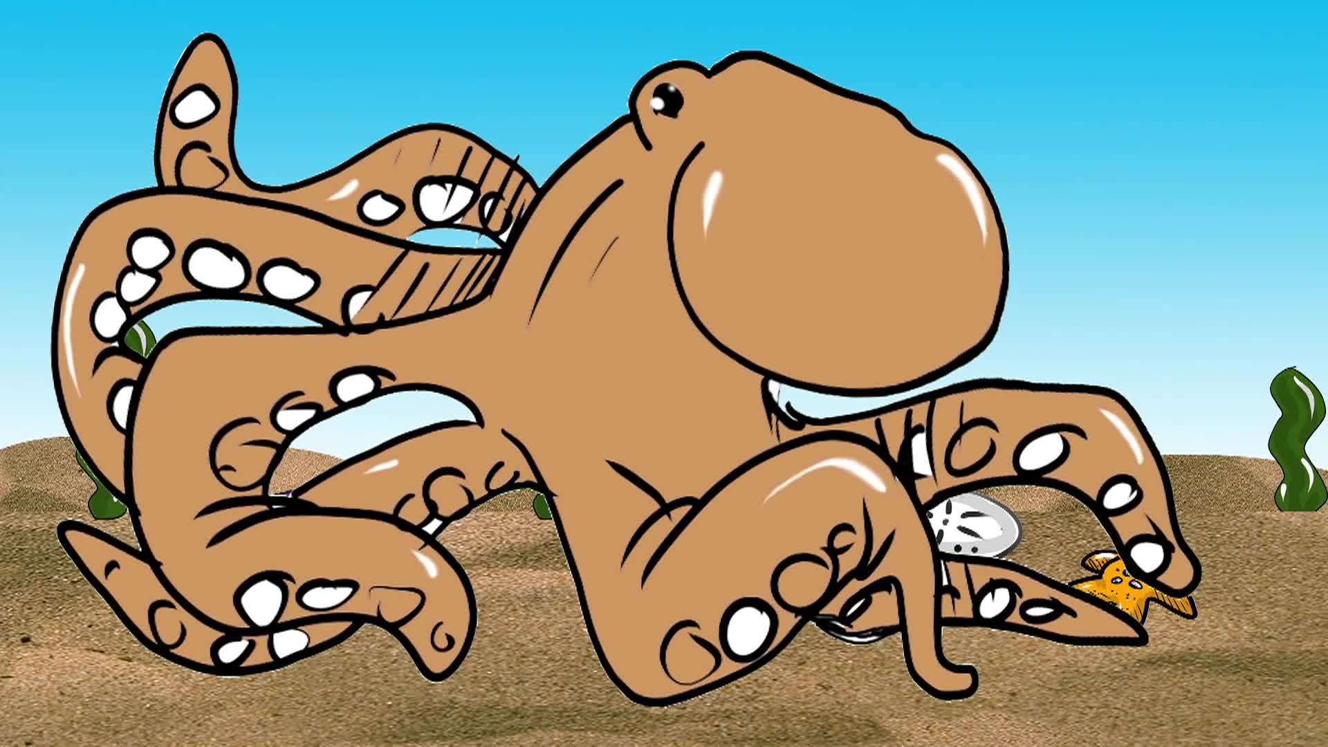 Dr Draw 124 Octopus show