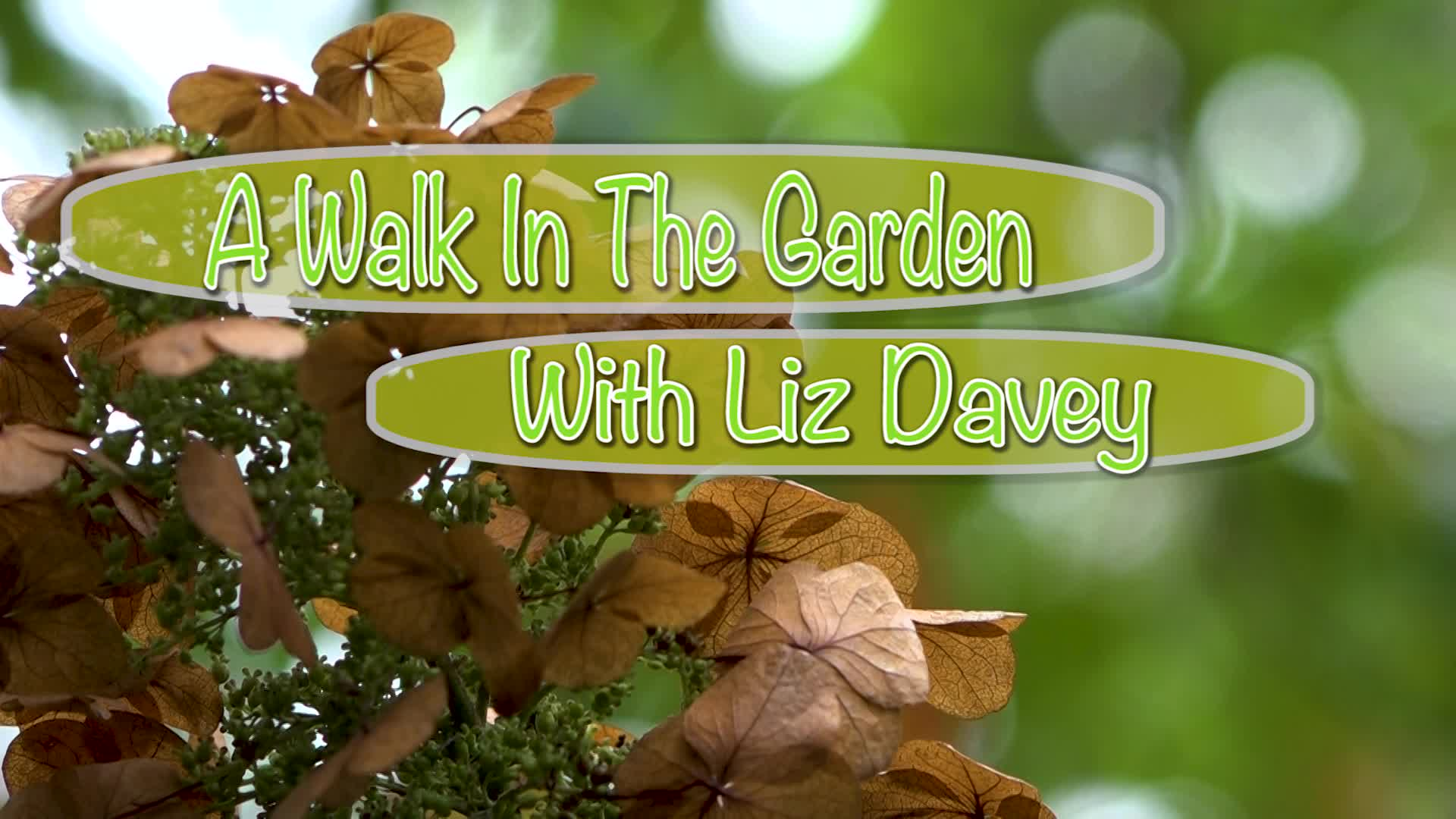 A Walk in the Garden Halloween