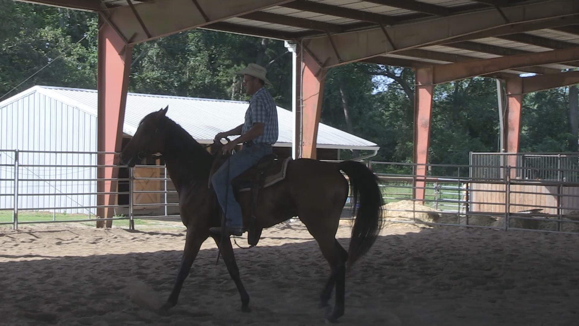 From the Ground Up Episode 4:Stiffness and Proper Carriage