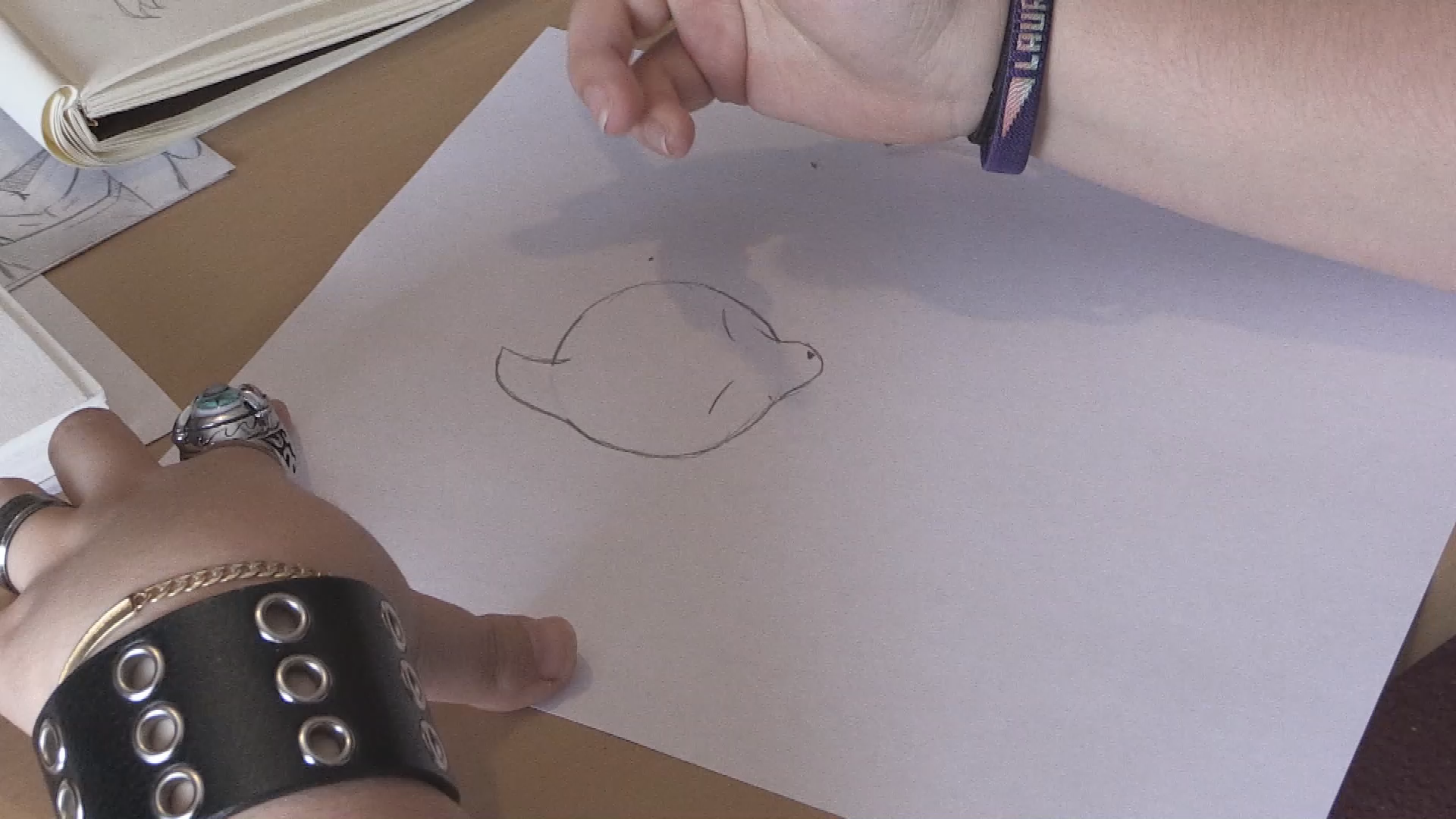 Laura-How to Draw (Less Badly) Final: Class Project