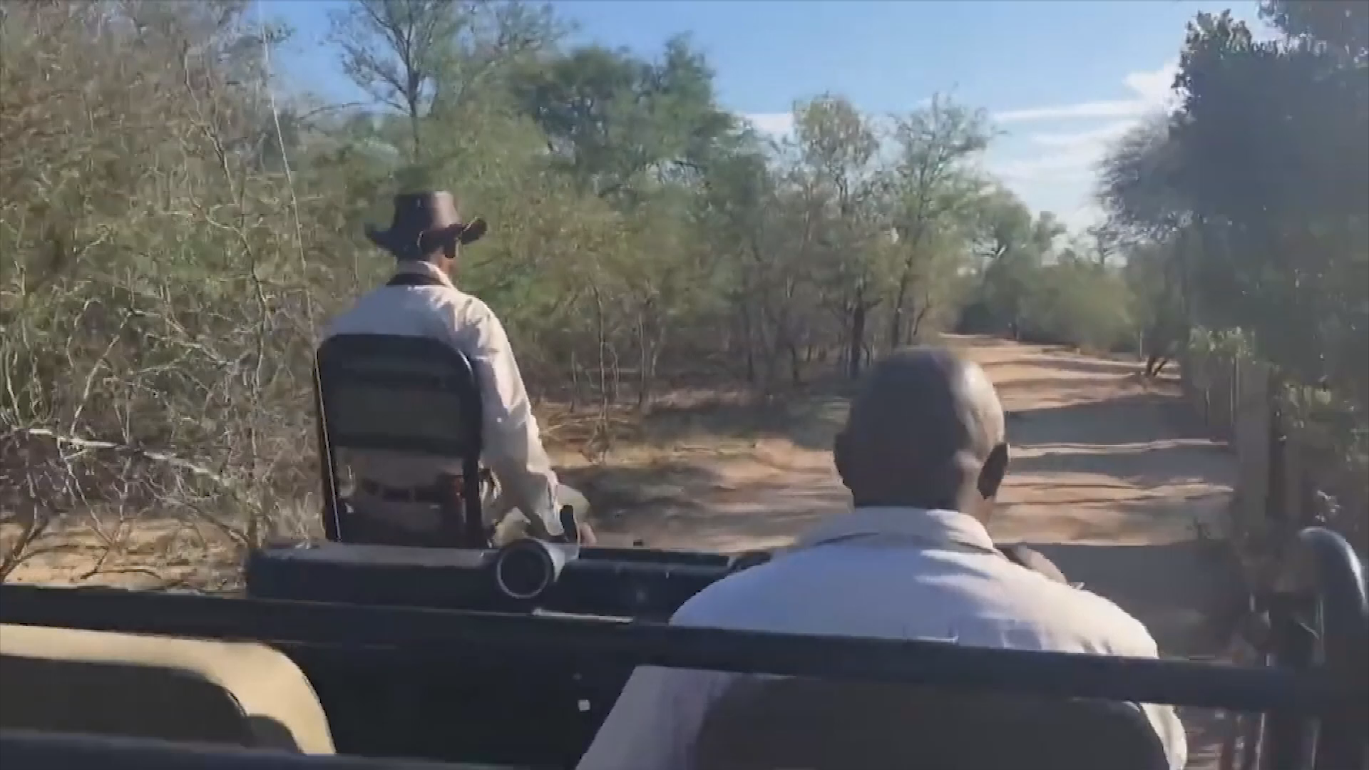 Travel Destination Africa 2 Kruger National Park: Class Project Video Production