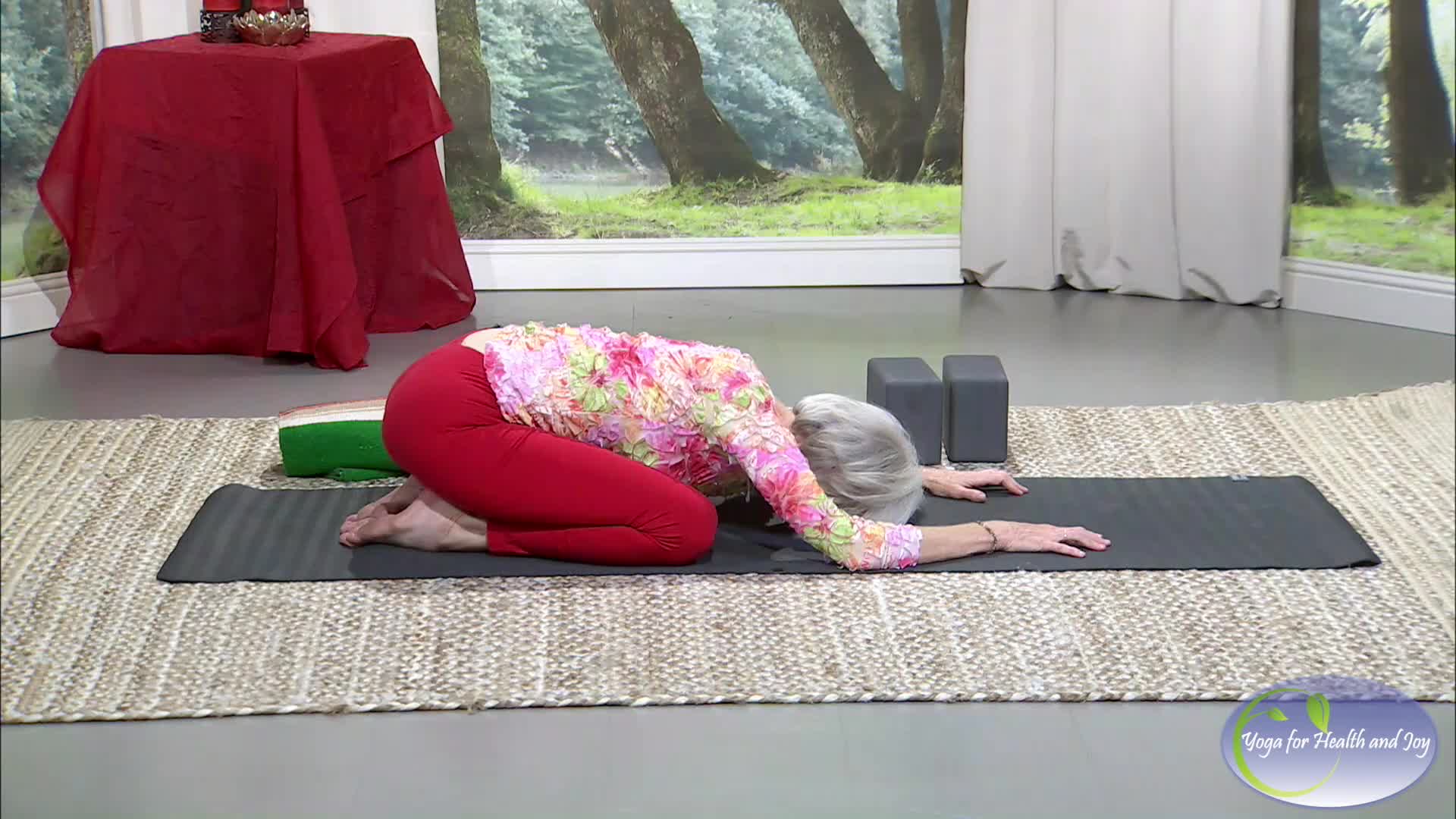  Yoga for Health and Joy with Patricia Becker: Upper Back Tension