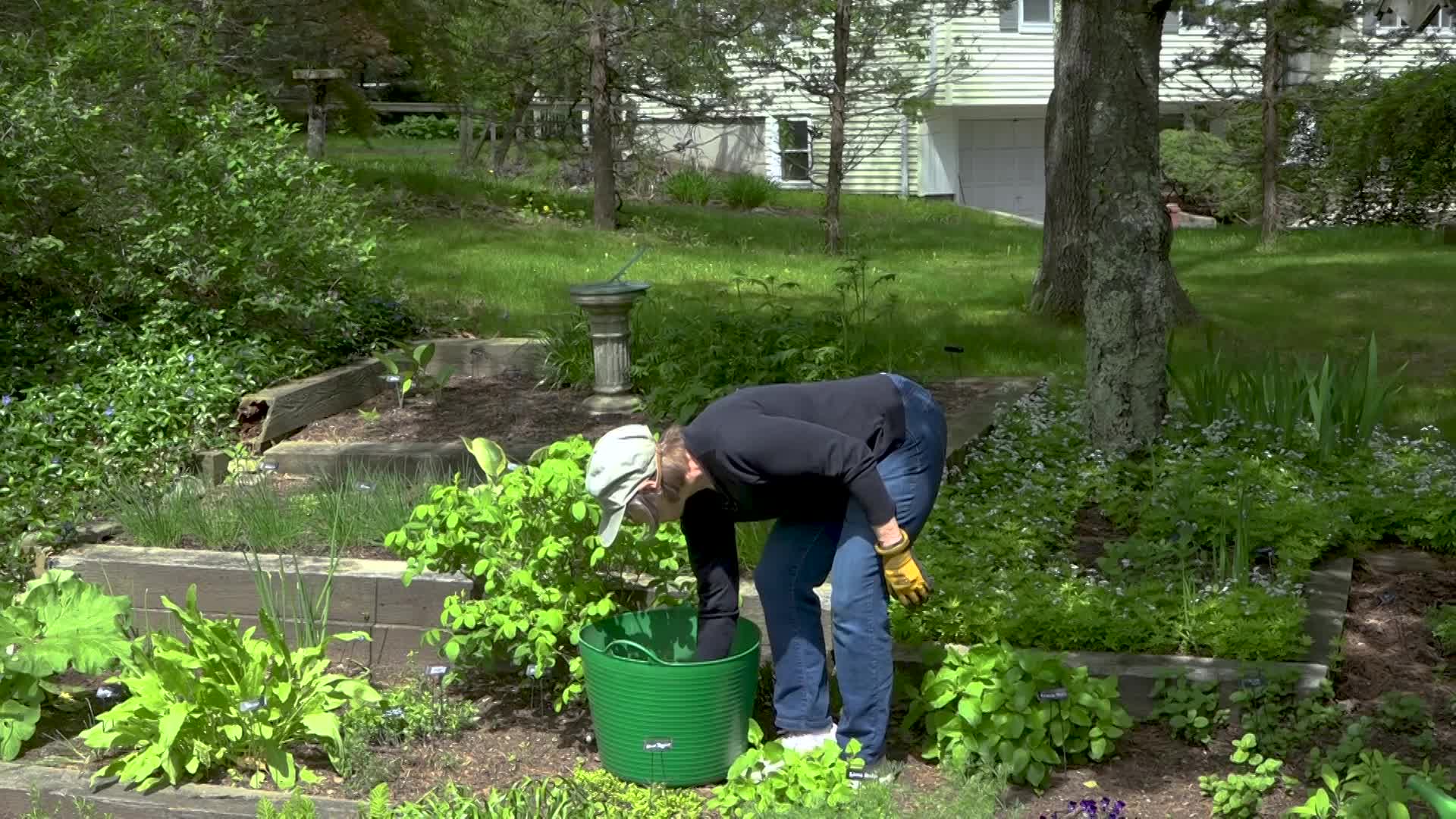 A Walk in the Garden