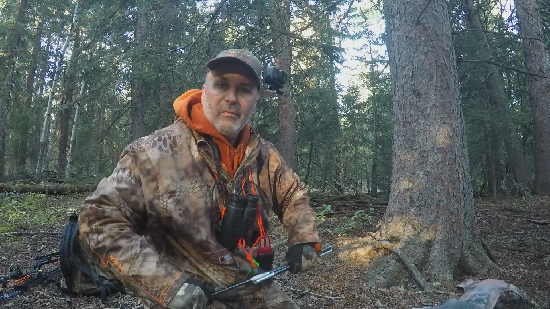 LIFES HIGHWAY: First Morning Bull Elk