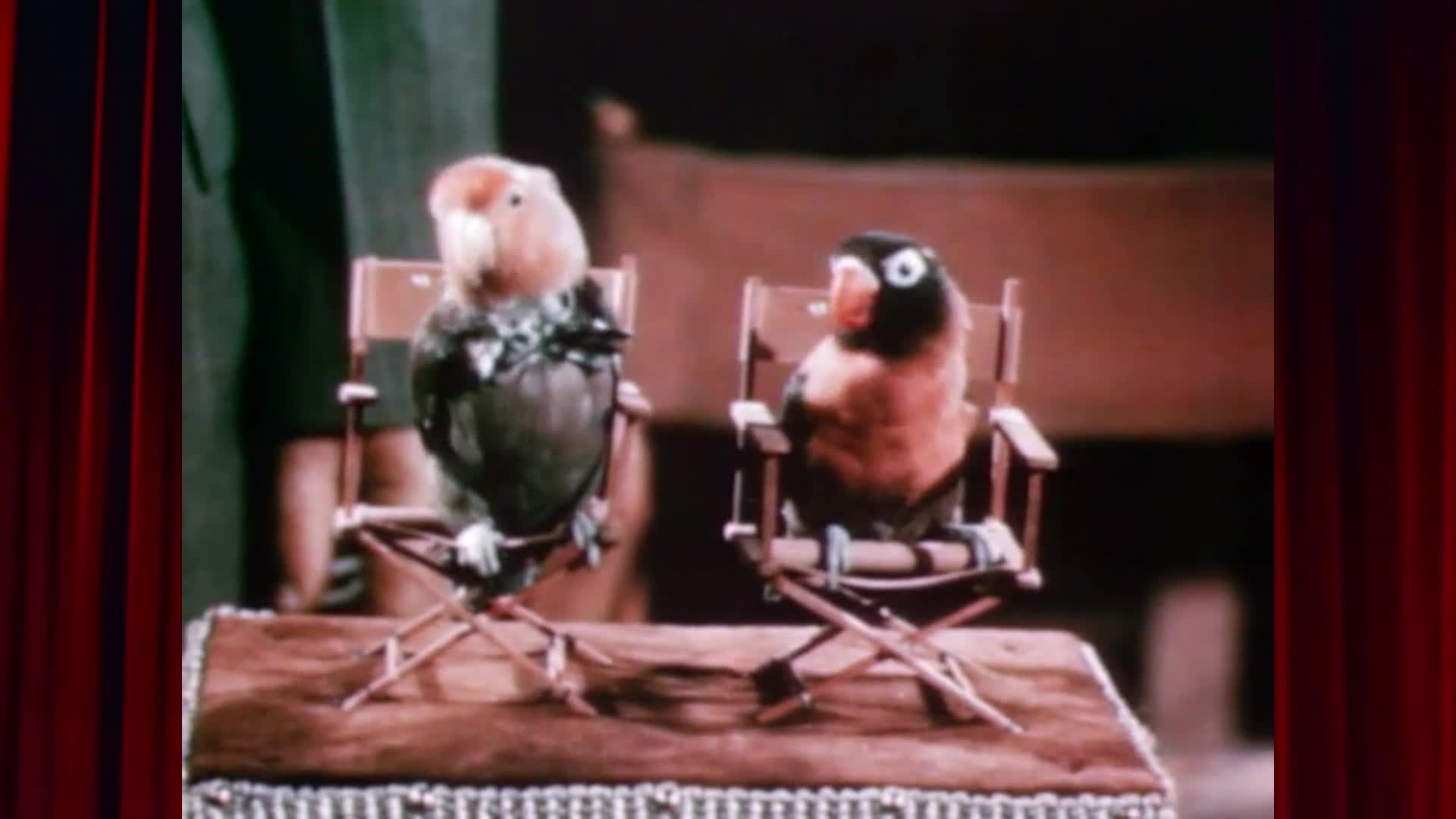 W.O.N Theatre and The $9000 Movie